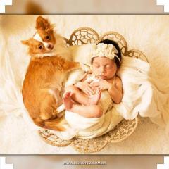 ensaio newborn