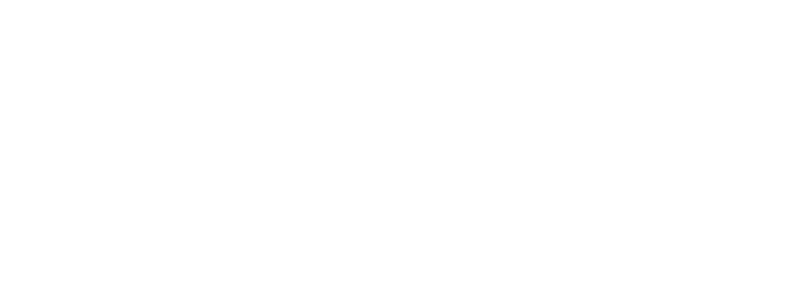 light logo
